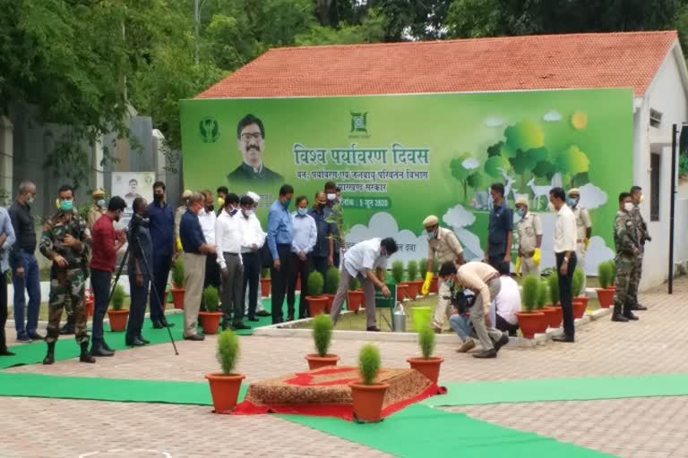 CM Hemant Soren planted swarna champa plant in ranchi