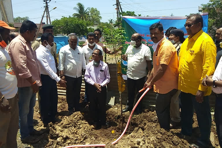 Bagalkot RSS celebrates World Environment Day planting saplings