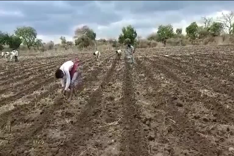 farming in washim