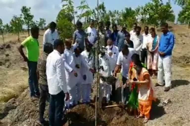 Green revolution in vijayapura district