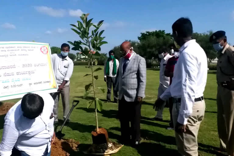 Environment Day from Tumkur District