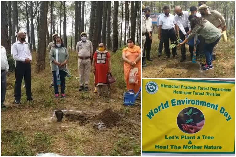 Good morning health club making people aware by planting saplings on daughter's birth and birthday in Hamirpu