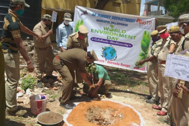 world environment day celebrated by pedda dornala forest officers