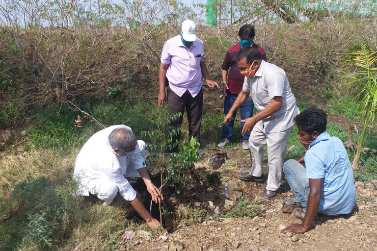 people doing plantation