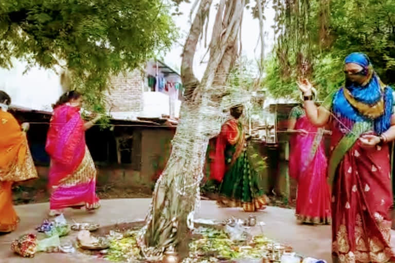 Married women worship Banyan tree  vatpornima celebrated in sangli  कोरोनाच्या छायेत वटपौर्णिमा साजरी  सांगलीत वटपौर्णिमा साजरी  worship Banyan tree with social distancing