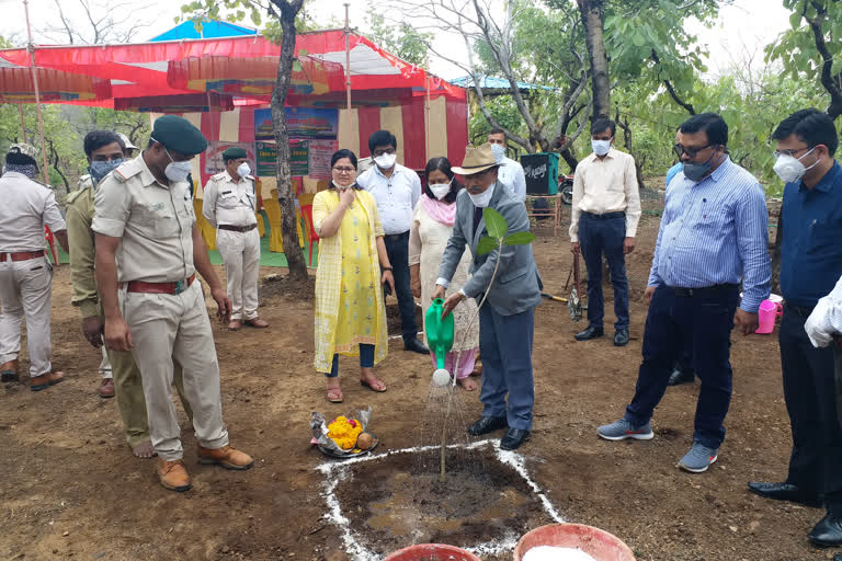 Forest Board organized a program on the occasion of World Environment Day