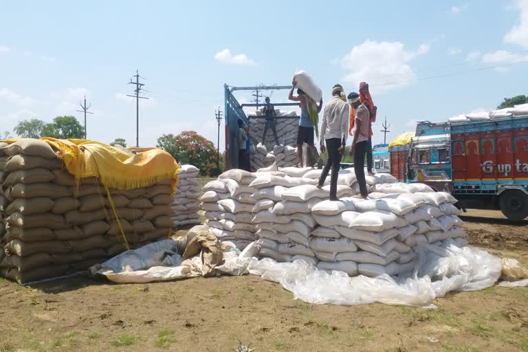 Transport of wheat