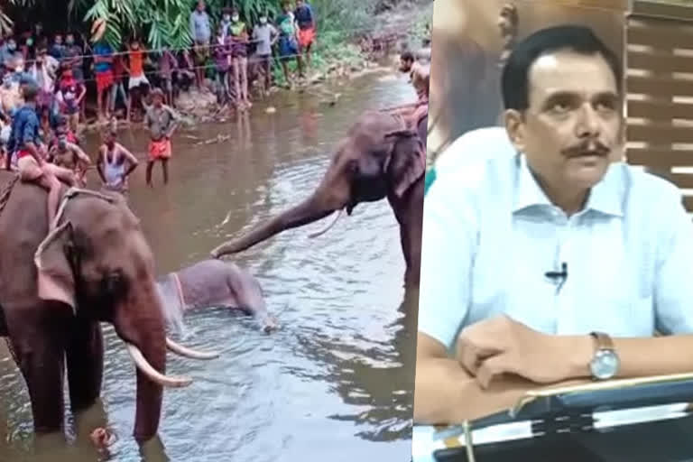 alleged against forest department  elephant death  kerala forest  forest department  kerala forest department  thiruvananthapuram