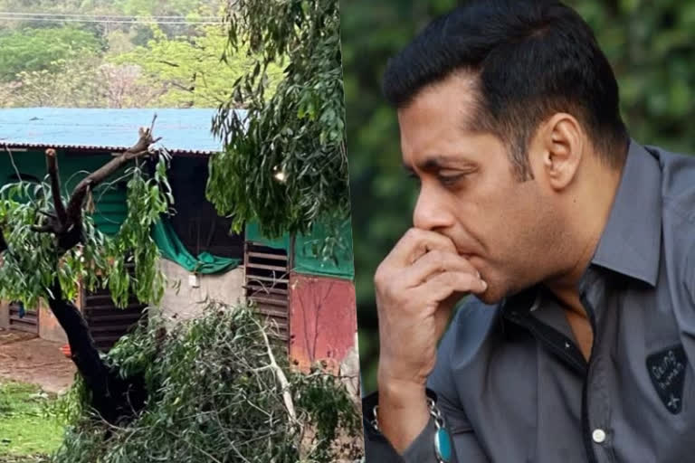 Salman Khan's farmhouse hit by cyclone Nisarga. Watch video