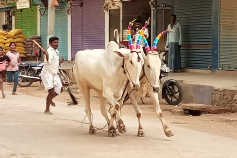 kara hunnime celebration in koppal