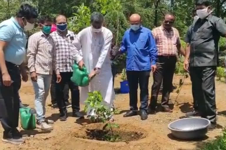 Legislative Assembly Speaker Charan Das Mahant planted saplings