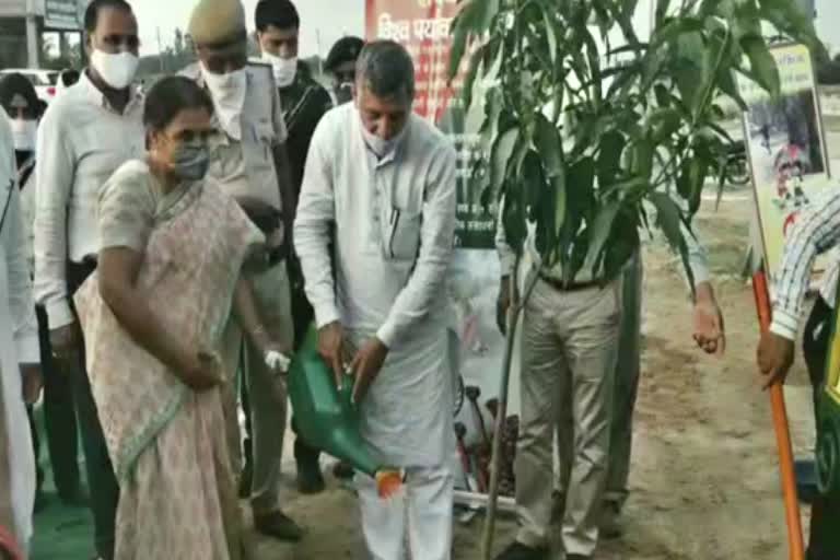 Forest Minister Kanwarpal Gurjar did plantation on World Environment Day