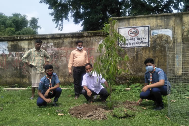 40 লাখ বৃক্ষৰোপনৰে সেউজ বিটিচি গঢ়াৰ আহ্বান ৰাজ্যপালৰ