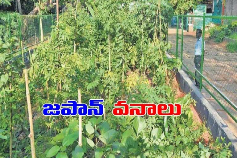 miyavaki plantation will establish in hyderabad coming soon