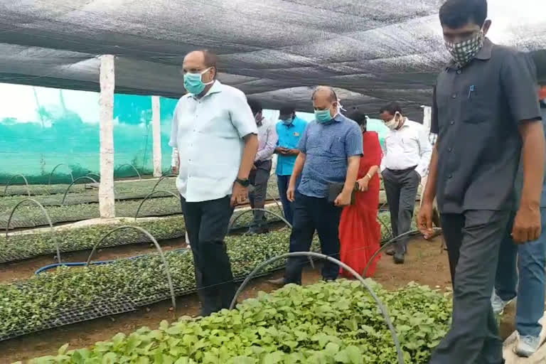 cs someshkumar visit at vikarabad and inspected harithaharam plants