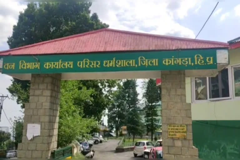 Dhauladhar Nature Park, धौलाधार नेचर पार्क