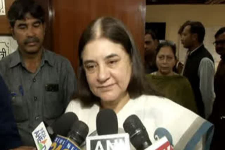 maneka gandhi