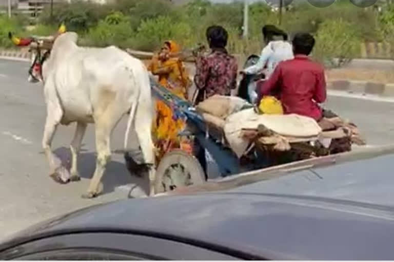 Movement in Chhattisgarh on 10 June regarding anti-farmer policies