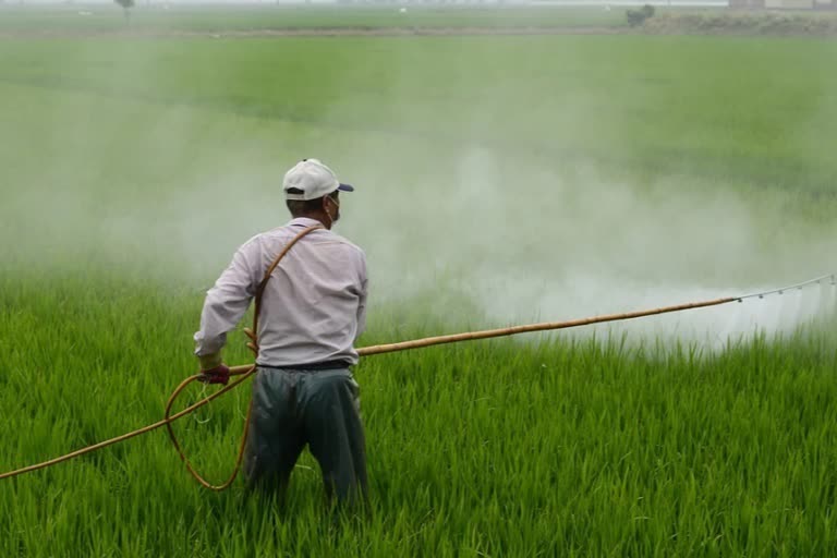 pesticides ban  27 pesticides ban cancelled  central govt lift ban on pesticides  २७ कीटकनाशकांवरील बंदी  कीटकनाशक बंदी केंद्र सरकार निर्णय  कीटकनाशकावरील बंदीवर स्थगिती