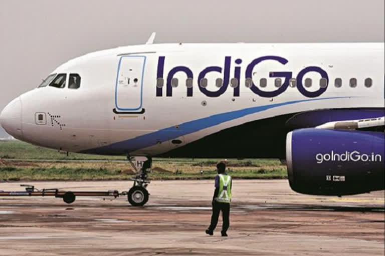 IndiGo aircraft parked at Mumbai airport hit by step ladder amid strong winds