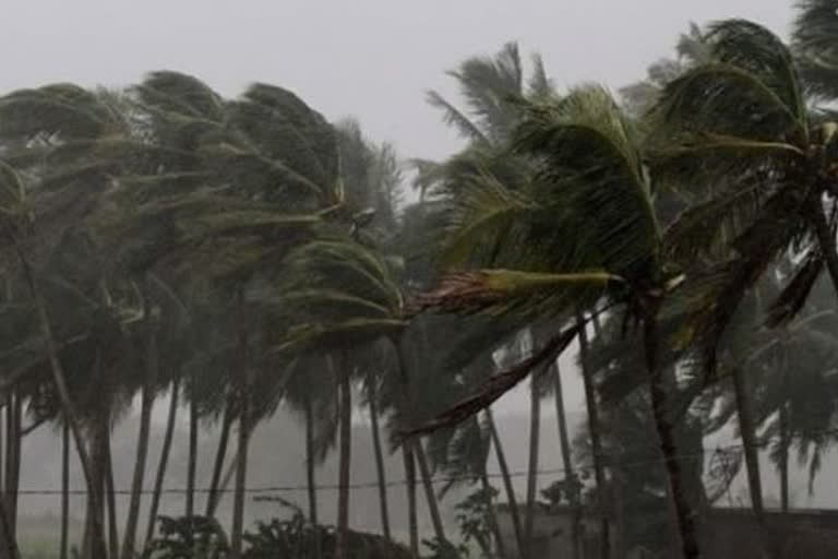 കേരളം മഴ  യെല്ലോ അലർട്ട്  Yellow Alert  Heavy rain in Kerala  കേരളം കാലാവസ്ഥ  kerala climate