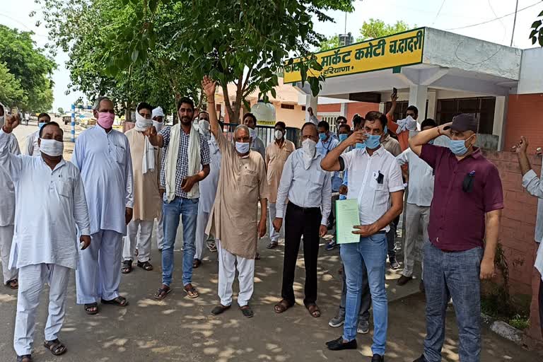 market committee employees protest against bjp leader soneli phogat in charkhi dadri