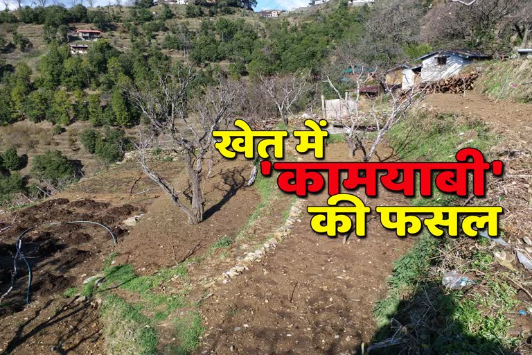 Nainital youth quit his job and started farming