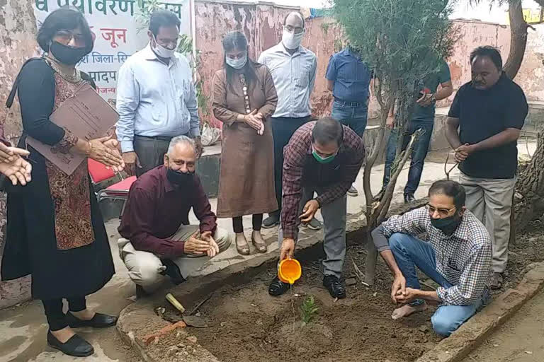 Ayurvedic Department Sirmaur Scheme