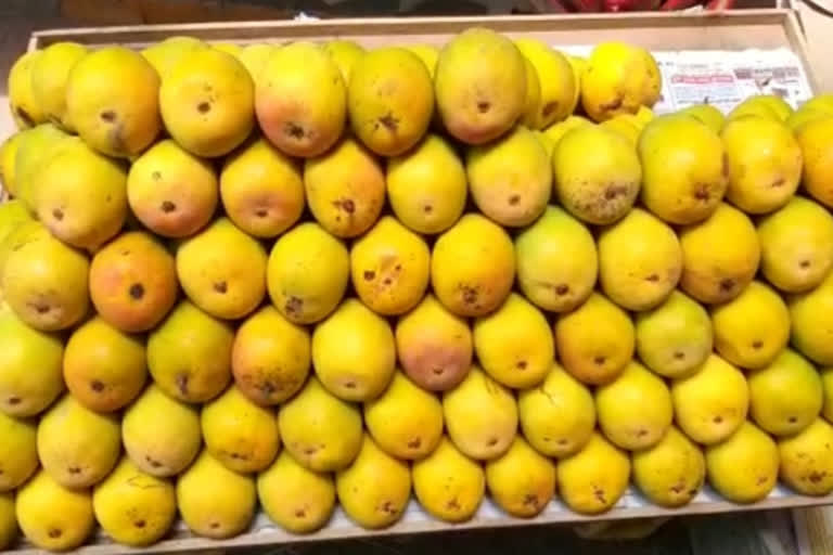 mango