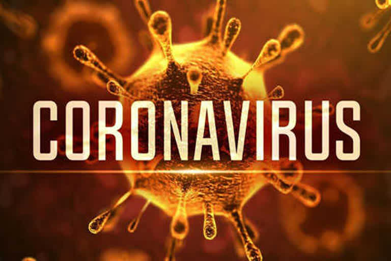 corona virus