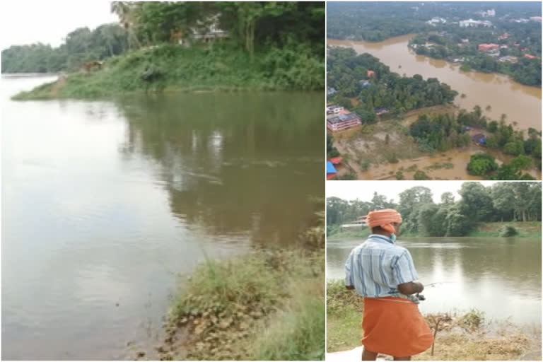 മൂവാറ്റുപുഴ നഗരസഭ വാർത്ത  മൂവാറ്റുപുഴ പുഴ വൃത്തിയാക്കണം  മൂവാറ്റുപുഴ മണല്‍ വാരല്‍  muvattupuzha river cleaning news  river cleaning updates  muvattupuzha corporation