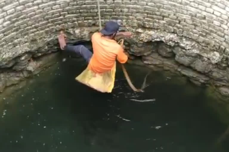 man rescuing snake fell into well in amravati