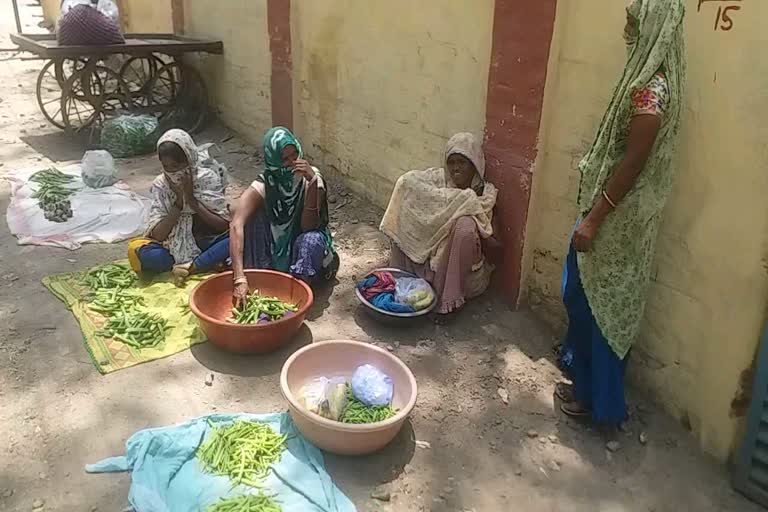 vegetables producers suffering