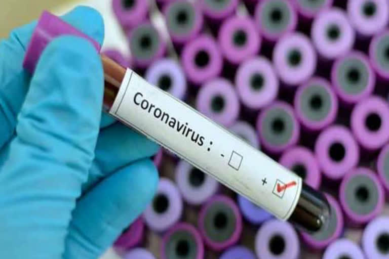 seven new corona virus positive found in palwal