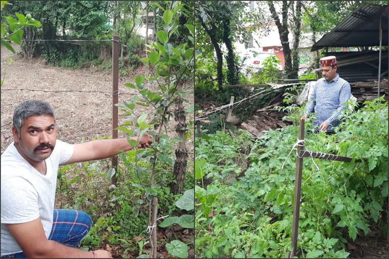 Two brothers are making farmers aware to do organic farming