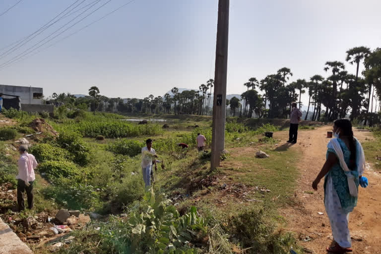 Cleaning program to gummidibandha pond in vizianagaram