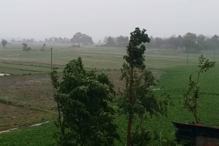 Monsoon to reach Jharkhand on June 15, news,  of Jharkhand weather, news of monsoon in Jharkhand, 15 जून को झारखंड पहुंचेगा मानसून, झारखंड मौसम से जुड़ी खबरें, झारखंड में मानसून की खबर