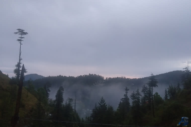 shimla