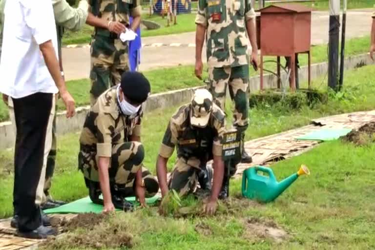 world environment day celebrate in bsf camp, silchar