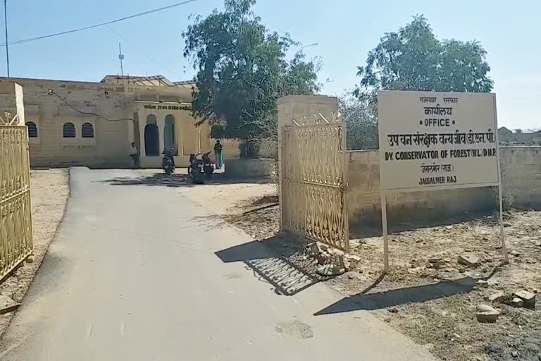 Wildlife census,  Water points method,  Jaisalmer Desert National Park