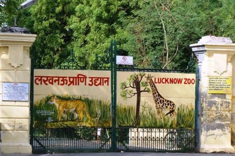 Lucknow zoo