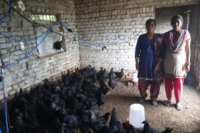 Kadaknath Poultry Farm in tehri