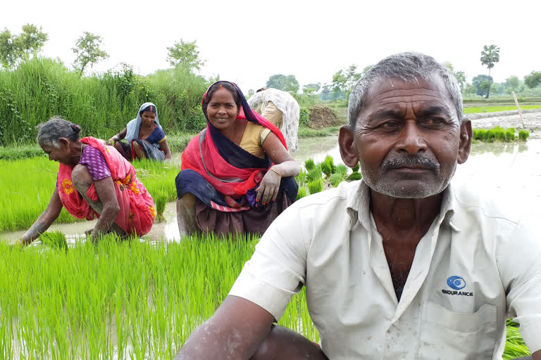 farmers hope for first monsoon rains in mau