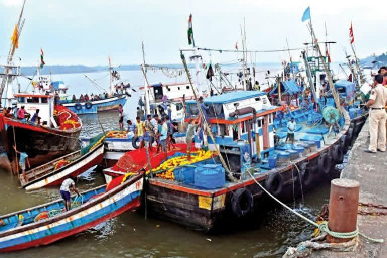 Ban on LED lights flashing And help traditional fishermen