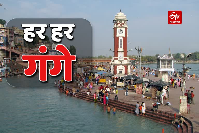 Haridwar Hindi News