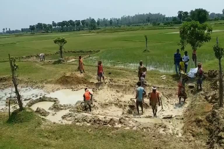 Migrant workers are getting work under MNREGA in sahibganj