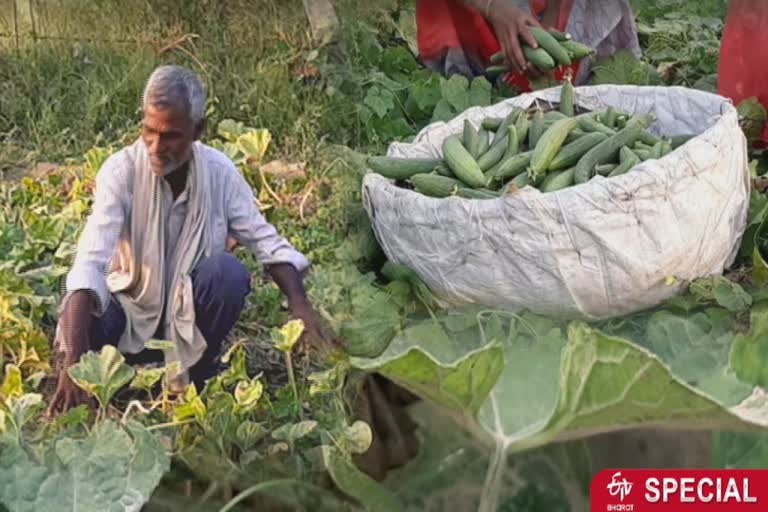 varanasi vegetables farmers special story