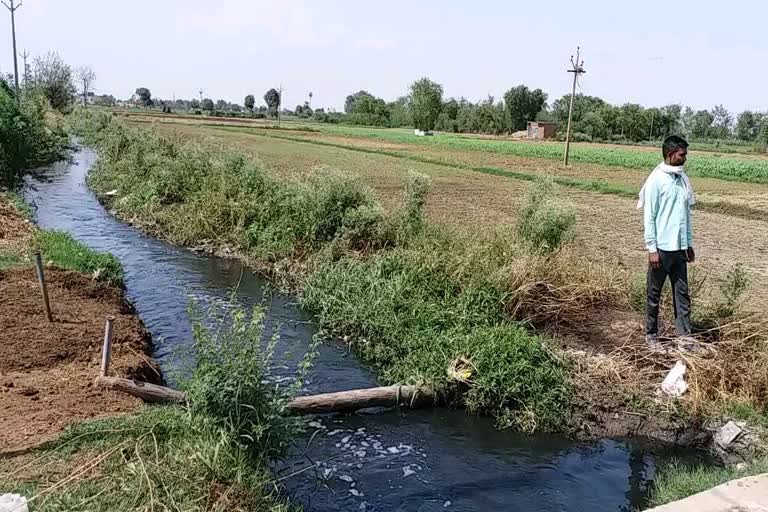 Farmers' crops are being ruined