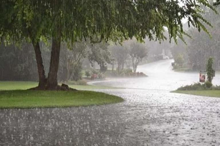 heavy rain in jind