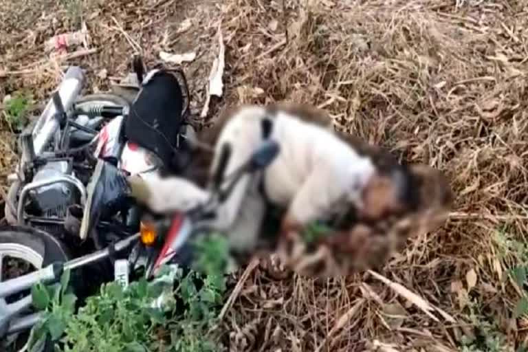 Haryana Police SPO death in road accident in gohana